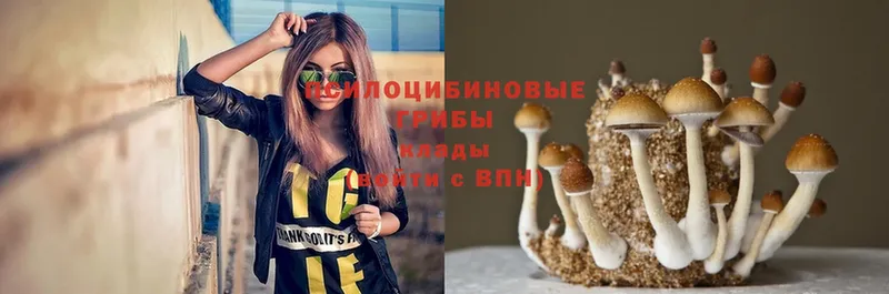 Галлюциногенные грибы MAGIC MUSHROOMS  дарк нет состав  Электроугли  сколько стоит  ОМГ ОМГ ONION 